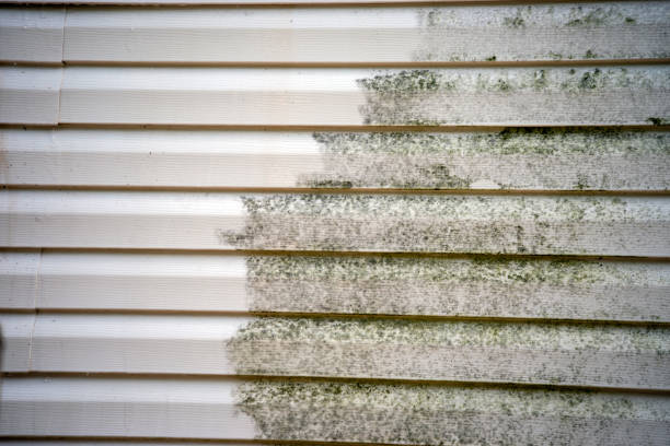 Demolition Debris Removal in Trinity, NC