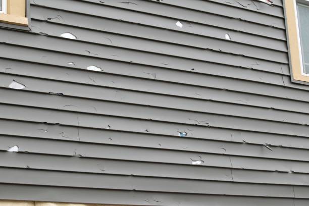 Best Dumpster Rental Services  in Trinity, NC